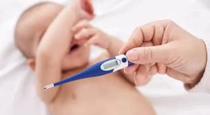 Brasil cerca de las 200 muertes por fiebre amarilla desde el inicio de año