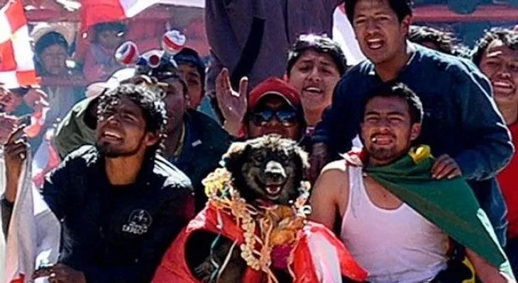 La oposición usa un "perro" contra la campaña de Evo Morales para reelegirse