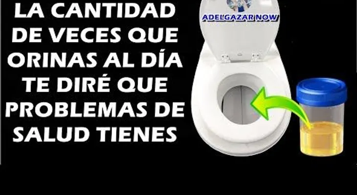 Problema de tu salud, según la cantidad de orinas al día