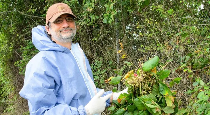 ¿Cómo luchar contra la hiedra venenosa, la planta que puede arruinar tu verano?