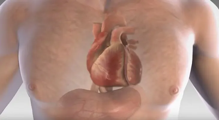 6 signos de advertencia previos a un infarto. ¡No los desestimes!
