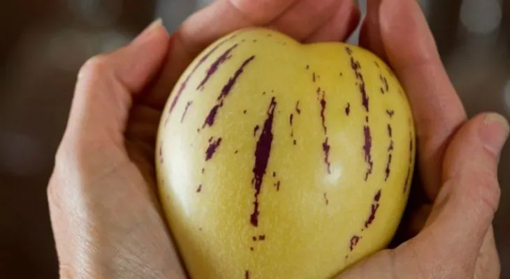 6 beneficios del pepino dulce para la salud