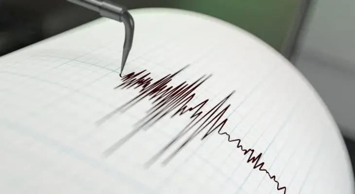 Un terremoto de magnitud 7,7 sacude la isla de Flores, en Indonesia