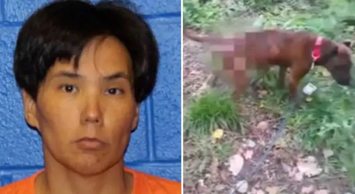 Conmoción en EEUU: una mujer filmó cómo violaba a su perro y compartió el video en redes sociales
