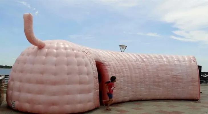 Una reproducción de un colon gigante conciencia sobre el cáncer en Paraguay