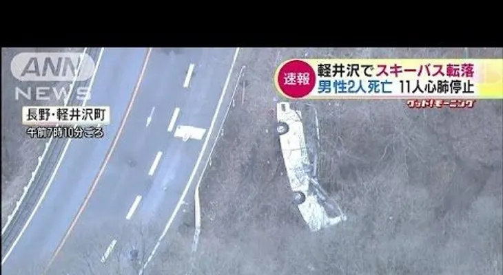 Más de 10 turistas fallecen tras un accidente de tráfico en Japón (VIDEO)