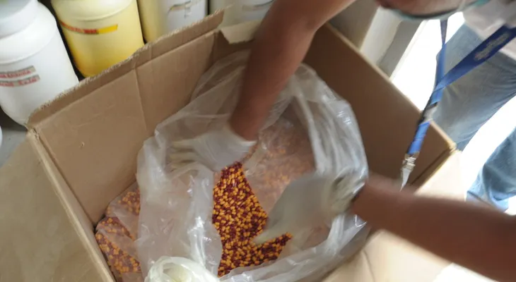 Desmantelan laboratorio clandestino de medicamentos en Arroyo Hondo
