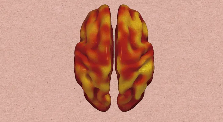 Riesgo cardiovascular y declive cerebral se asocian en la mediana edad