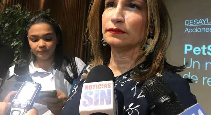 Hay que reducir las pérdidas en el sector eléctrico, de nada sirve darle más ingresos; Circes Almánzar