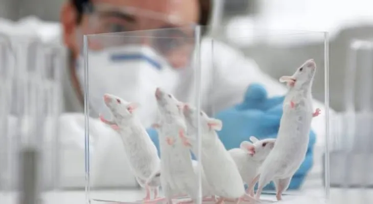 Logran aumentar la vida de pacientes con metástasis cerebral de 4 a 15 meses 