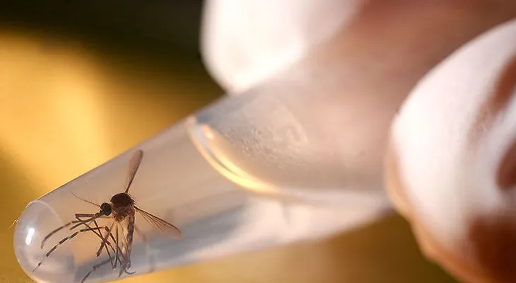 Autoridades reportan 1.145 nuevos casos del virus del Zika en Puerto Rico