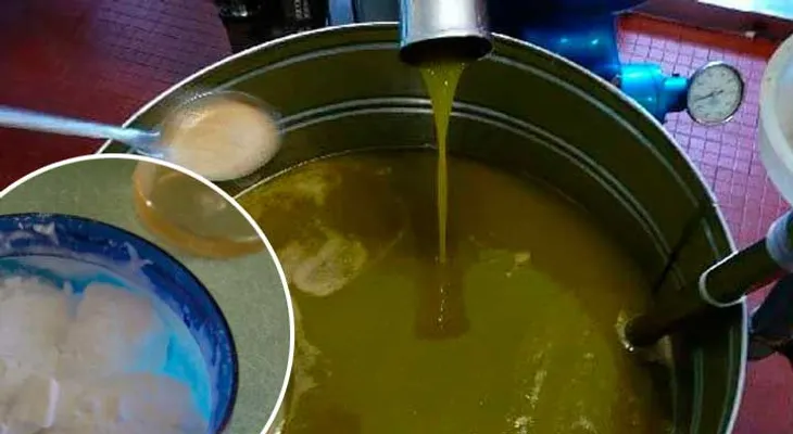 Soy doctora y jamás pensé que el aceite ricino con bicarbonato sodio podía hacer esto por mi