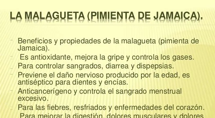 La malagueta: controla la diarrea y el dolor menstrual; es anticancerígeno 