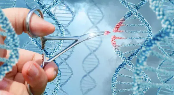 Descubren por qué los genes necesitan una o dos mutaciones para causar cáncer