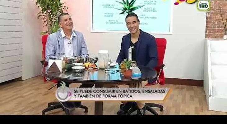 La sábila tiene grandes propiedades para el cuerpo y la piel, lo que no sabíamos de esta planta 
