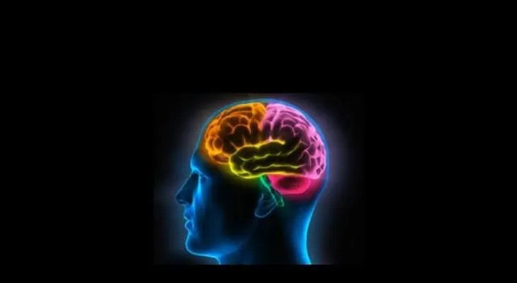 ¿Qué le ocurre al cerebro 30 minutos antes de la muerte?  