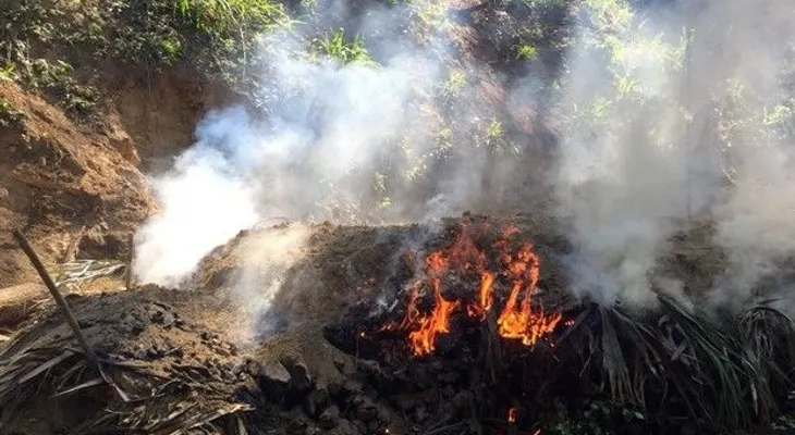 Apresan hombres depredaban la Cordillera Central 