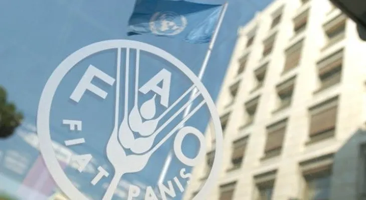 La FAO pide fomentar el consumo de pescado para enfrentar el hambre en Mesoamérica