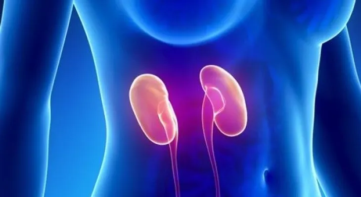 Hipertensión e insuficiencia renal: Aprende a cuidarte mejor