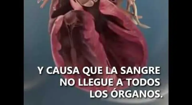 Una niña de 4 años se mantiene con vida con un corazón artificial