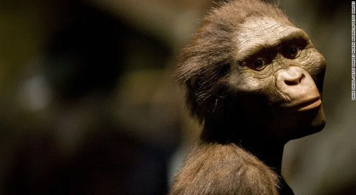 Así murió Lucy, nuestro ancestro más antiguo, hace 3 millones de años