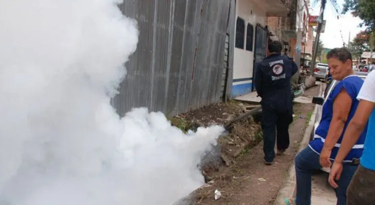 El virus zika ya está en prácticamente toda América Latina y el Caribe