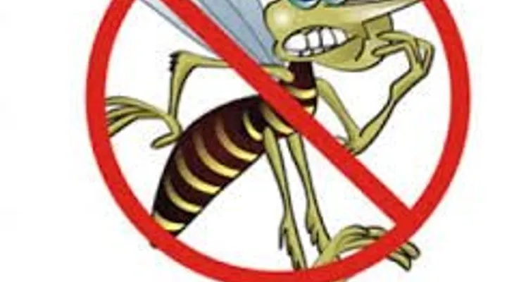 Pide a población combatir dengue desde la casa