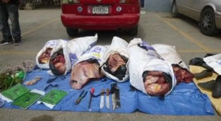 Policías balean tres cuatreros