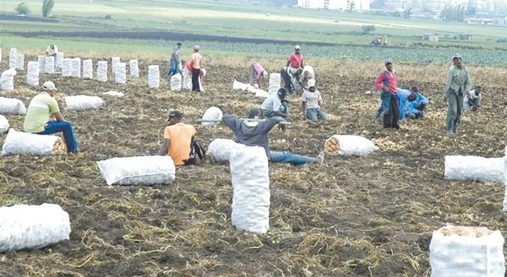 Según la FAO FAO dice RD logró meta "Hambre Cero" con 2 años de antelación