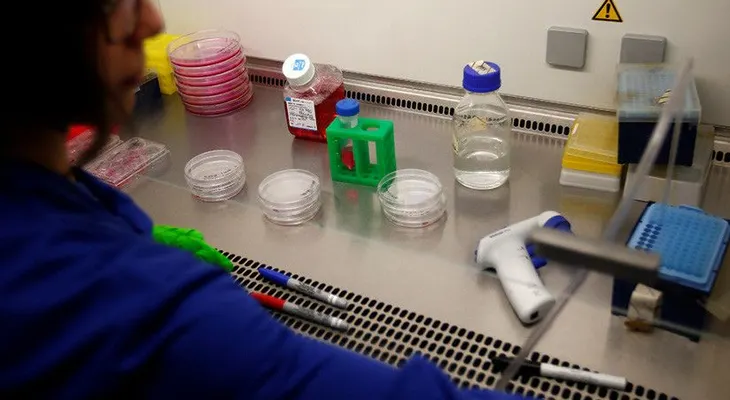  Descubren las estrategias de las células cancerígenas para evitar ser derrotadas 