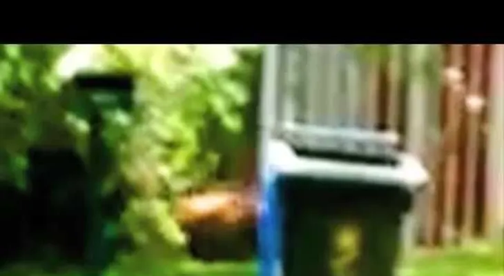 ¿El tigre de Tasmania sigue vivo? El misterioso animal "aparece" en un video
