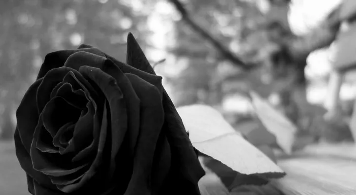 Reclaman Justicia en caso mujer que murió por cirugía estética; sepultan restos 