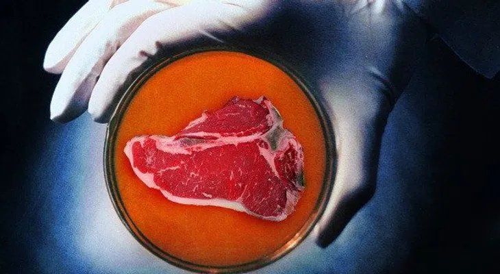 Muy pronto comeremos carne sin matar animales