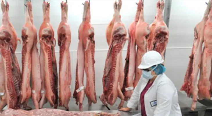 De último minuto, te están vendiendo carne humana como si fuera vaca! 