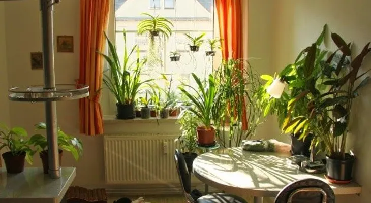  10 soluciones para darle vida al hogar 