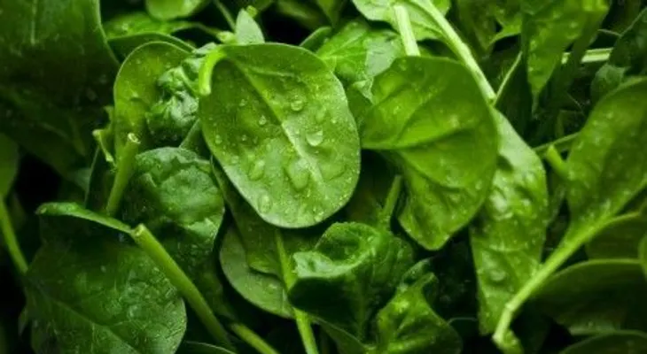 10 alimentos que te dan energía sin subirte de peso