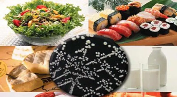 Advierten enfermedades que son transmitidas por alimentos