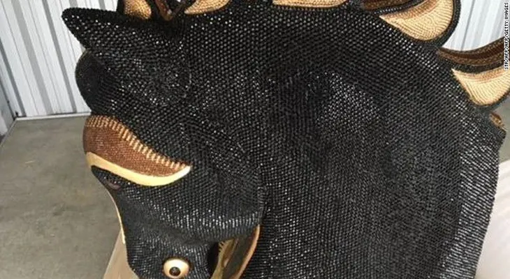 Una cabeza de caballo cubierta de diamantes ocultaba 10 millones de dólares en cocaína
