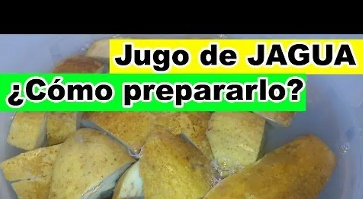 Jugo de jagua el mejor jugo del mundo creado por DIOS; cómo prepararlo