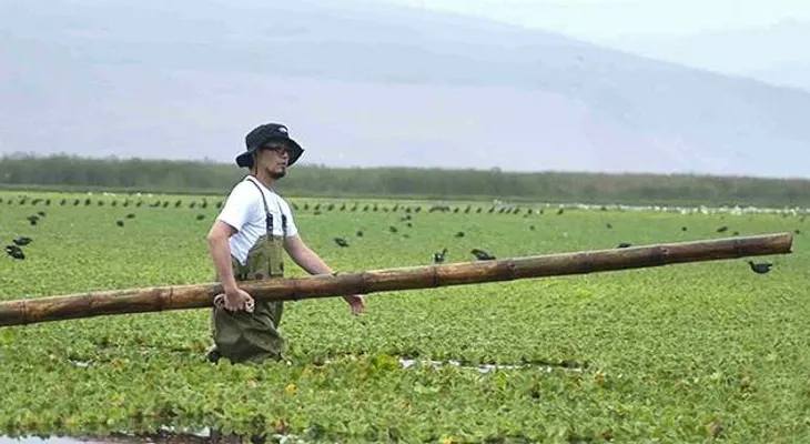 Descontamina él solo una laguna en Perú
