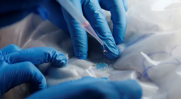 La "muerte gris": la nueva droga que puede matar con solo una dosis