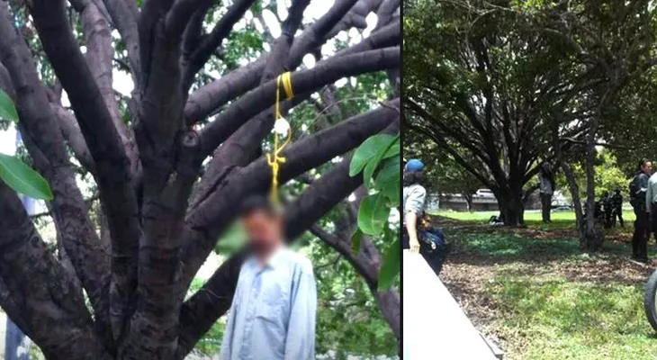 Hallan hombre colgado en árbol frente a su casa