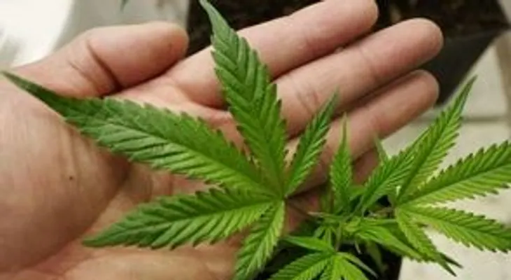 Proponen en Nueva Jersey el uso de marihuana para el dolor menstrual