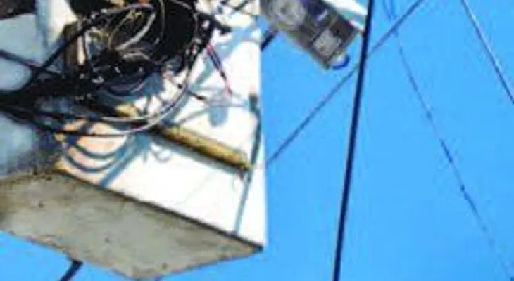 La distribuidora EDE Este crea 21 cooperativas eléctricas