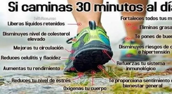30 minutos de camina al día y en 3 meses algo increíble ocurrirá 