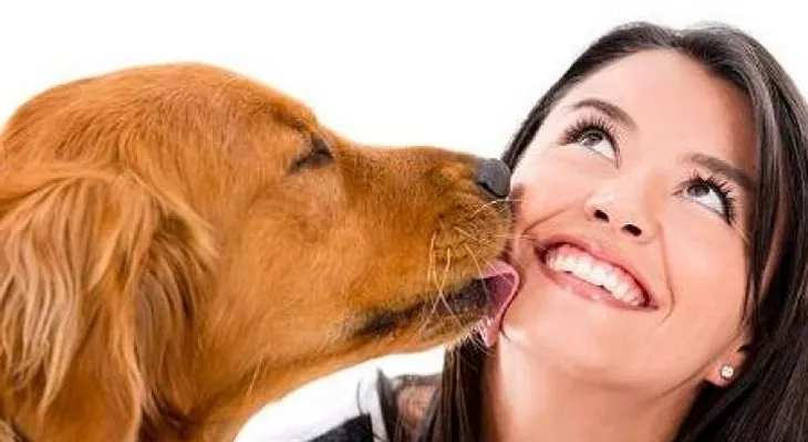 ¿Debemos dejar que las mascotas "besen nuestra cara?