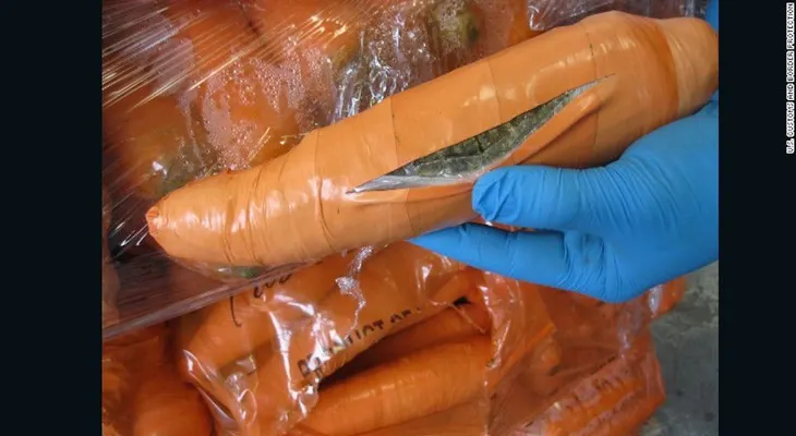 Incautan una tonelada de marihuana escondida en zanahorias falsas