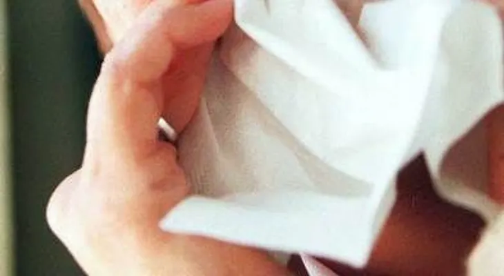 Declararan a RD libre gripe aviar