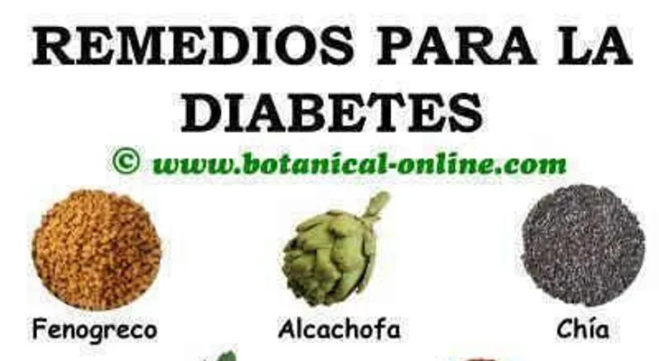 Plantas medicinales para curar la diabetes (Video)