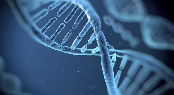 Nace un bebé con ADN de tres personas